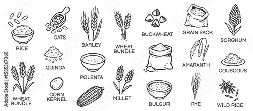 Grains and cereals doodle icon set. Cute hand drawn sketch illustrations of rice, oats, corn, quinoa, agriculture grains, barley, millet. Black and white art for food ingredients.