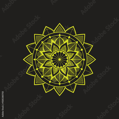 Abstract round floral geometric snowflake mandala vector pattern design