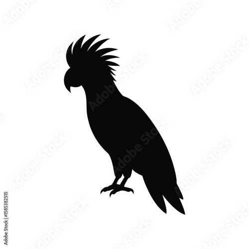 A cockatoo bird silhouette vector illustration.