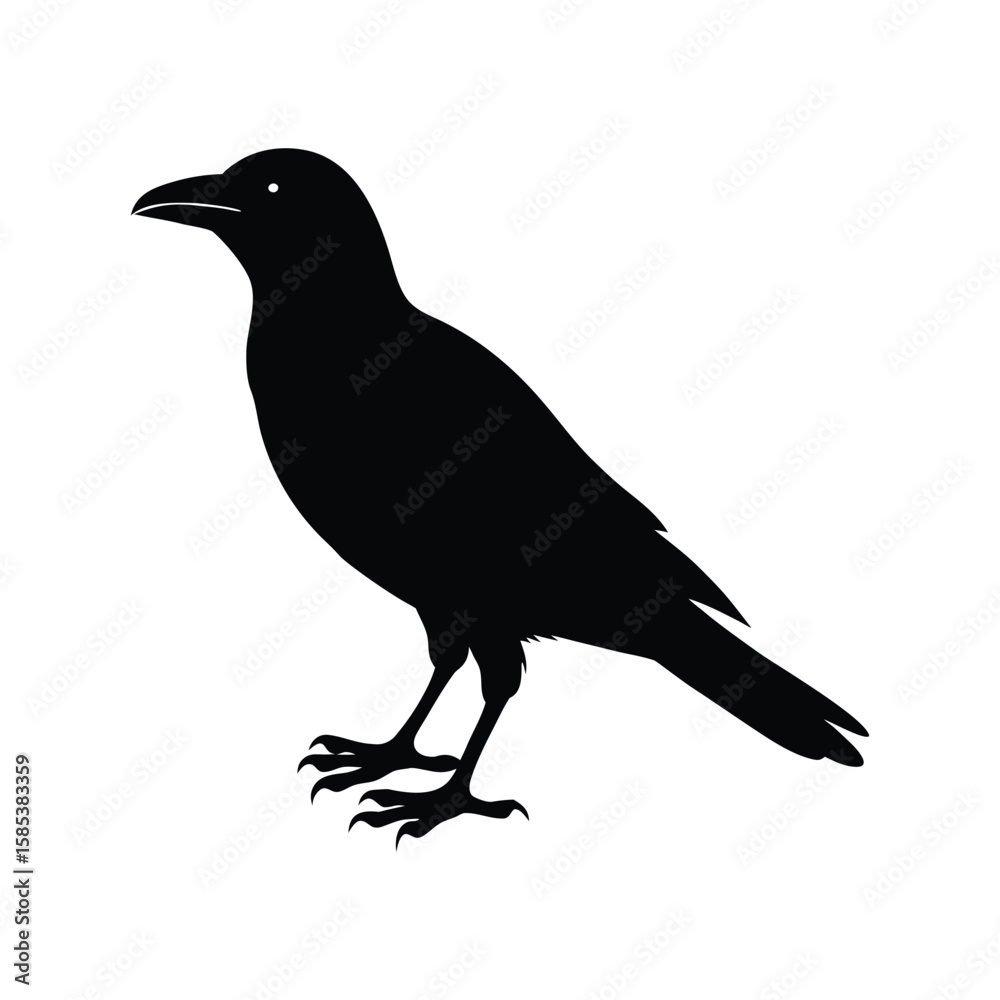 Obraz premium A crow bird silhouette vector illustration.