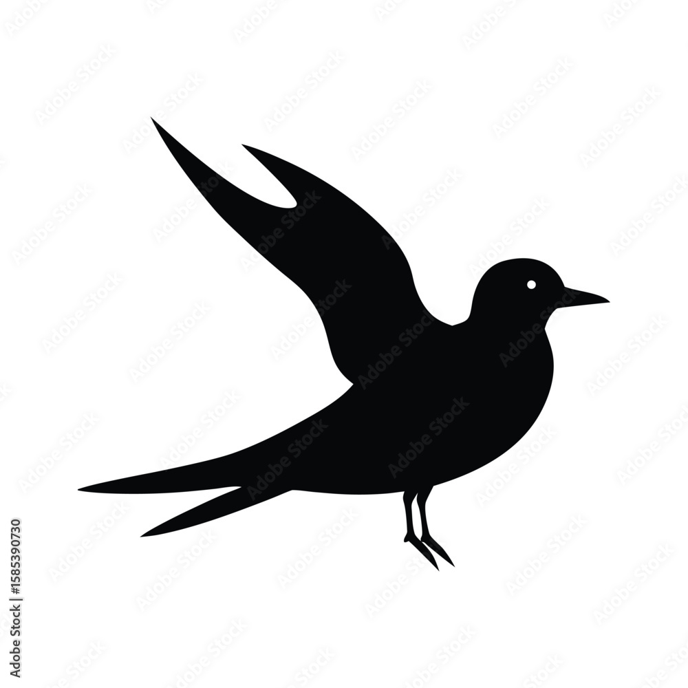 Fototapeta premium A tern bird silhouette vector illustration.