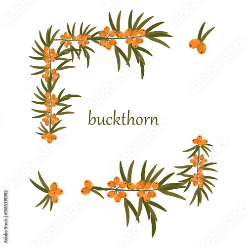 Square sea buckthorn frame. Hand drawn vector border made of branches with orange berries. Autumn botanical design for invitations, packaging, seasonal ads, or nature-themed compositions. Isolated.