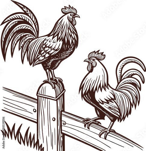 Barnyard rooster illustration: a vibrant farm animal silhouette perched on a fence, perfect for poultry and agriculture designs
