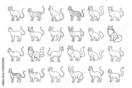 Collection of diverse cat breeds in line art style isolated on white background