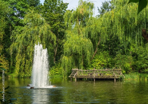 Am Teich im Volkspark Friedrichshain