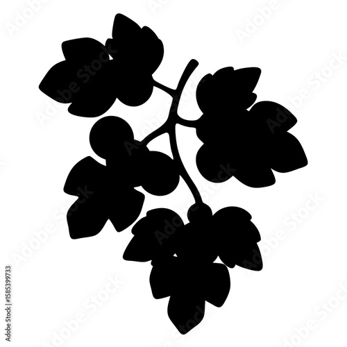 Silhouette of a flowering currant plant, emphasizing its natural beauty and simplicity