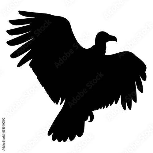 Silhouette of a Vulture with its Wings Spread Wide in Flight