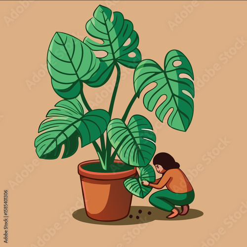 Plant in pot: Small potted houseplant, a young ficus or cactus, with green leaves growing in soil, isolated for nature and garden themes