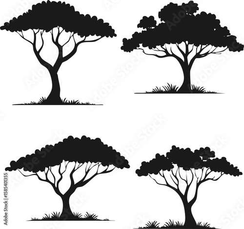 Set of four acacia trees in flat silhouette style on transparent background