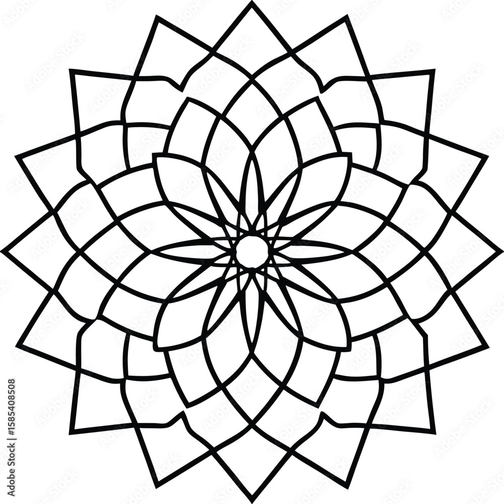 Obraz premium spider and web