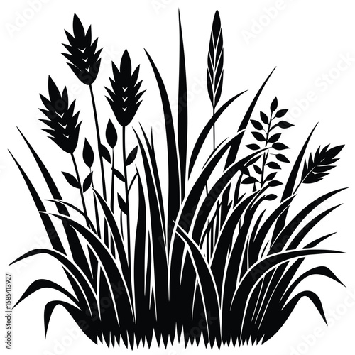 Isolated Silhouette of Grass and Plants: A Botanical Study in Black and White