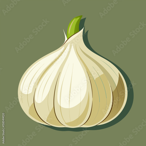 Single bulb of garlic.  close.up view.  Culinary photography of fresh garlic bulb