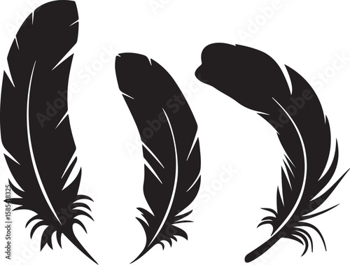 Three black stylized feathers with delicate lines on a white background