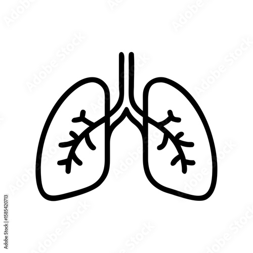Lungs illustration with branching bronchi in minimal design  