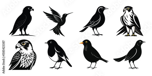 Collection of stylized black and white bird silhouettes: hawks, falcons, and songbirds.