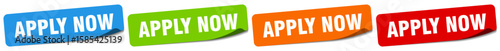 apply now sticker. apply now sticker set on white background