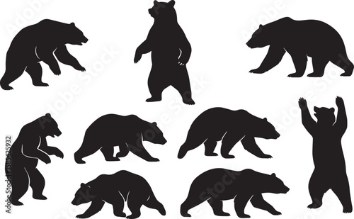 Black bear silhouettes various poses animal wildlife