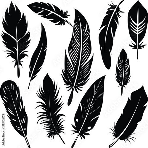 Elegant Vector Silhouette of a Collection of Bird Feathers
