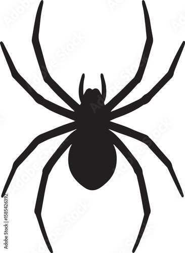Black spider silhouette arachnid insect