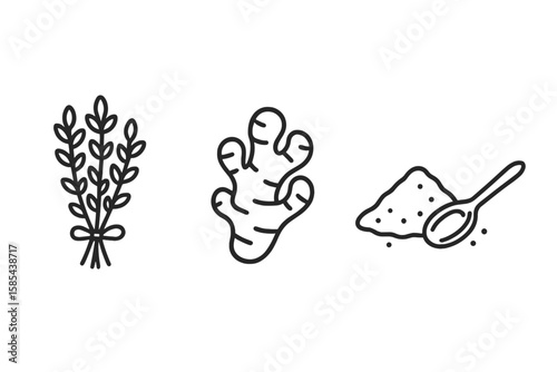 Herbs and spices icon set - rosemary, ginger, powder