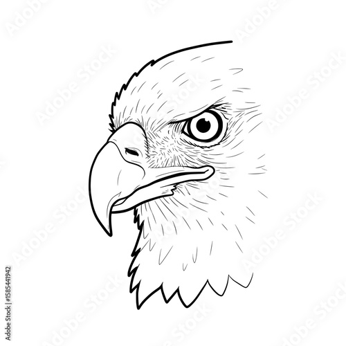 Eagle Eye Detailed monochrome sketch of an eagle's head with sharp details and piercing eye