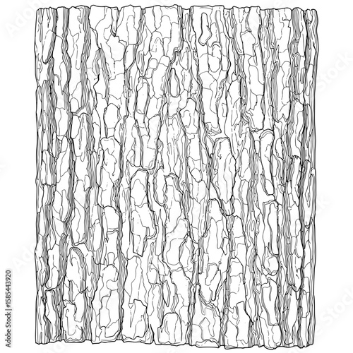 Intricate bark pattern with ridges and fissures in a detailed monochrome linear illustration