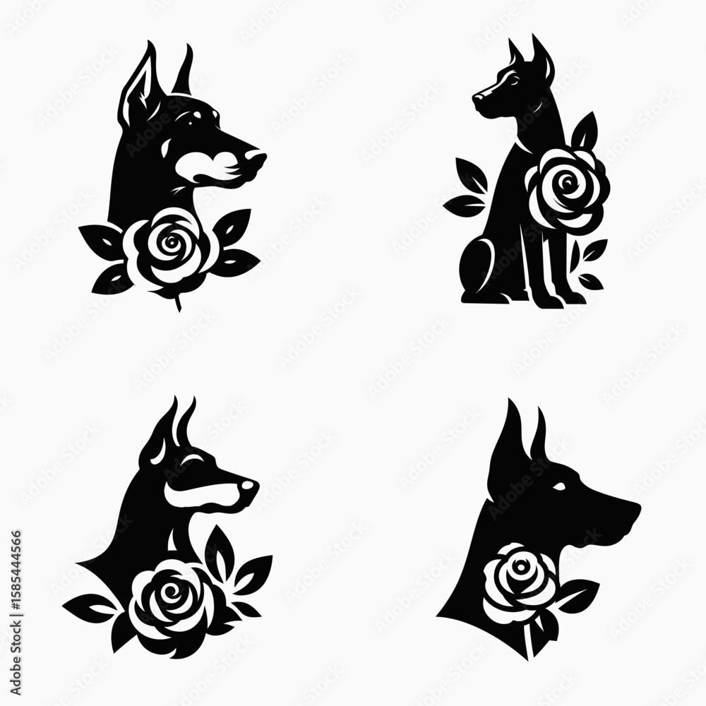 Fototapeta premium A Doberman Pinscher Dog with rose. Rose Valentine Clipart Line Art Vector Illustration Love Heart Romance. Canine cropped tail and bloom purebred pet photo.