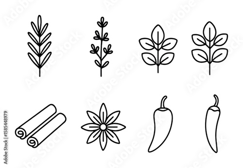 Herbs and Spices Icons. Outline icon set of herbs and spices: rosemary, thyme, basil, oregano, sage, cinnamon