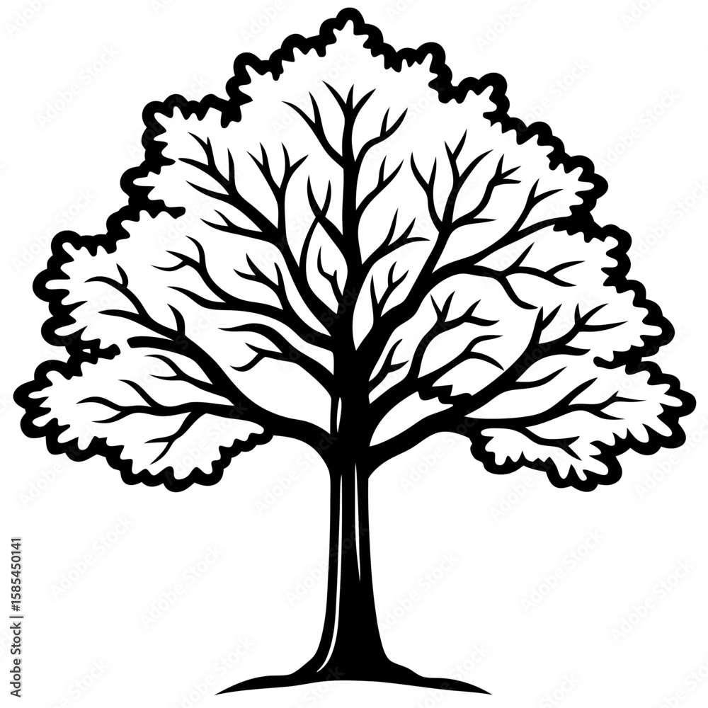 Obraz premium Vintage Oak Tree Outline Vector