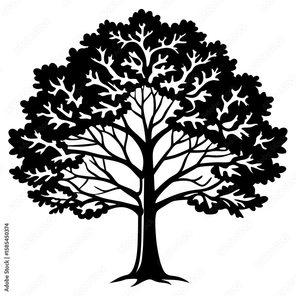 Fototapeta premium Vintage Oak Tree Outline Vector
