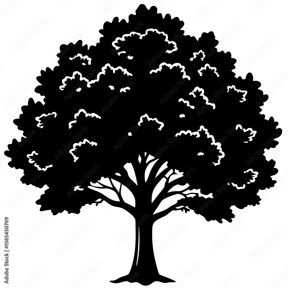 Fototapeta premium Vintage Oak Tree Outline Vector