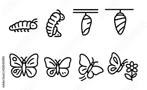 Butterfly Metamorphosis Icons. Outline icon set of butterfly metamorphosis stages: larva, molting, pupation,