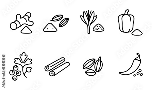 Traditional Spices Icons. Outline icon set of Traditional spices: turmeric, cumin, coriander, saffron, paprika