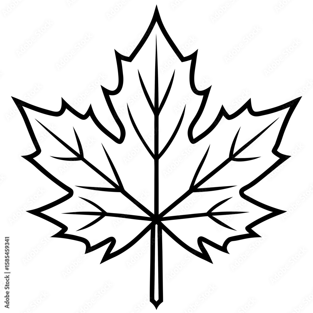 Obraz premium Maple Leaf Vector Illustration
