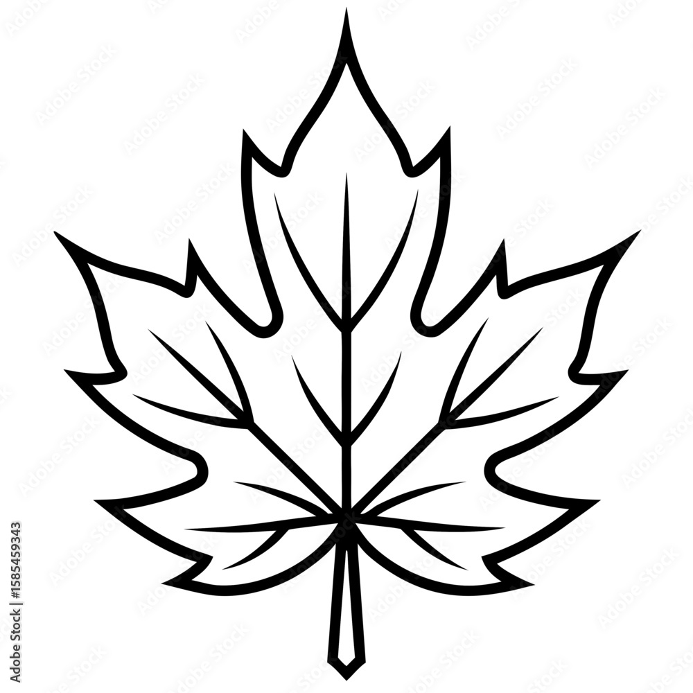Obraz premium Maple Leaf Vector Illustration