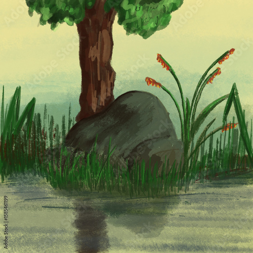 River bank