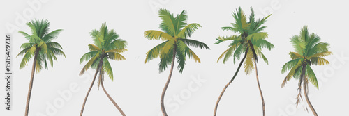 Tropical Palms Panorama: A breathtaking view showcasing a line of majestic palm trees swaying in the gentle breeze, evoking a sense of tranquility and escape to a tropical paradise. 