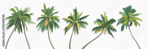 Tropical Oasis: Five lush coconut trees stand in a row, offering a view of a tropical paradise, a sense of relaxation and escape, and the beauty of nature's tranquility.