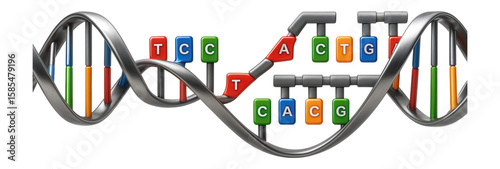 Lagging strand synthesis featuring discontinuous Okazaki fragments formation