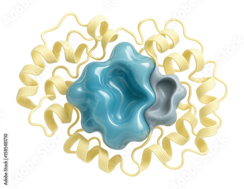 Isolated lipase enzyme with a classic alpha/beta hydrolase fold and binding pocket