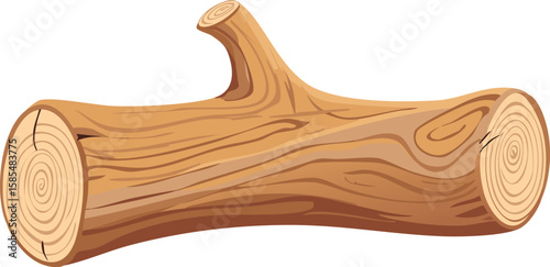 Dried dead tree trunk. Weathered driftwood cut out.clip, curve, grain, hardwood, rough, transparent, wind, cut-out, oak, root, weathered, aged, cracked, dead, desert, drift, drought, isolated, piece,