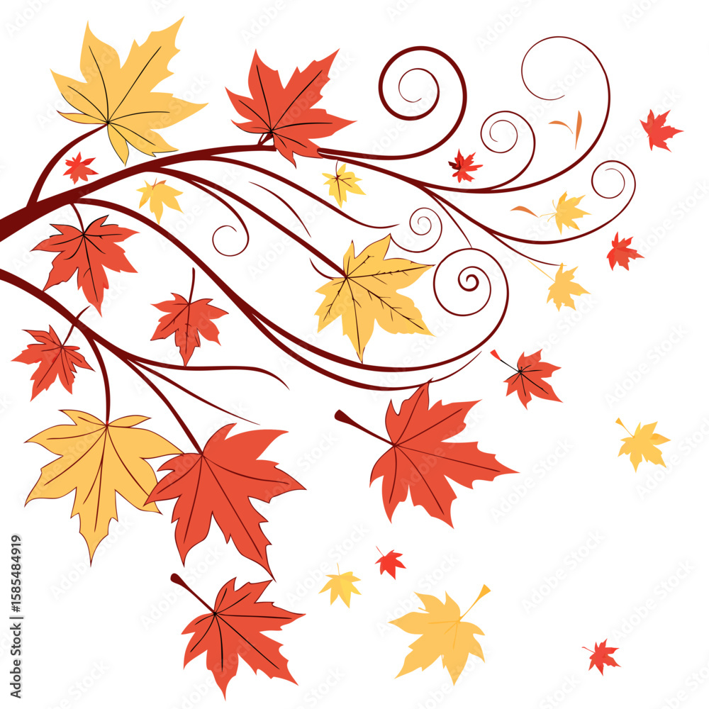 autumn maple leaves
