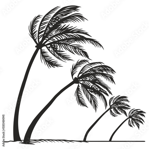 palm tree silhouette