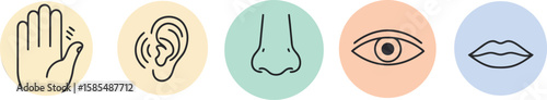 Five Human Senses Vector Line Icons Set: Touch, Hearing, Smell, Sight, Taste, Sensory Perception, Biology and Anatomy Symbols.