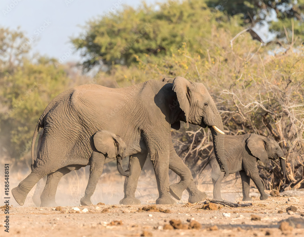Fototapeta premium A majestic close-up of an elephant captured in cinematic style, emphasizing the texture of its wrinkled skin, soulful eye, and sheer presence in its natural habitat.