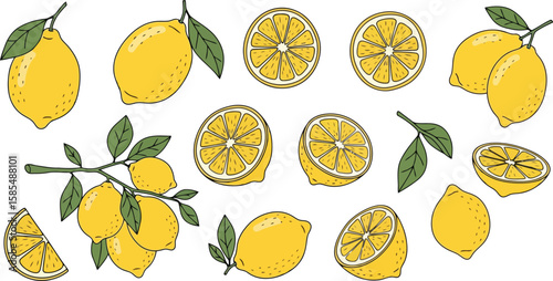 Hand Drawn Lemons and Slices Vector Set: Fresh Citrus Fruit, Natural Food Ingredient, Refreshing Drink Elements, Organic Produce.