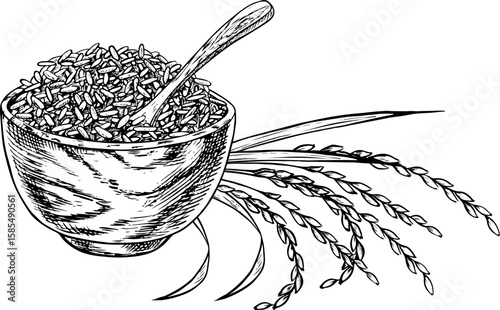 Rice or oats, wheat or rye in a wooden bowl, with rice stalks next to it. Black and white graphics, vector illustrations. Design element for menus, recipes, cookbooks. For banners, packaging, labels.