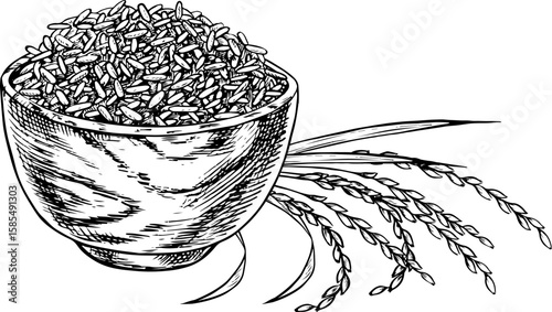 Rice or oats, wheat or rye in a wooden bowl, with rice stalks next to it. Black and white graphics, vector illustrations. Design element for menus, recipes, cookbooks. For banners, packaging, labels.