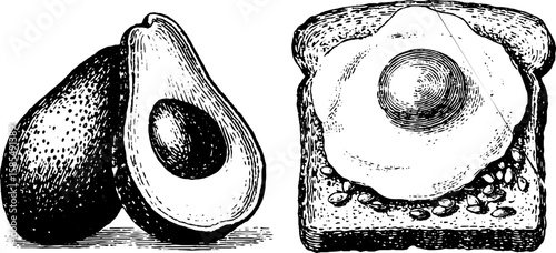 Engraved illustration of avocado and poached egg toast for culinary art and design