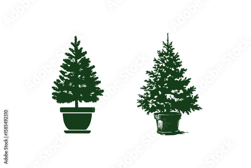 Potted Christmas trees showcasing different shapes, perfect for festive decor